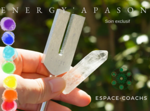 Formation exclusive Energy'apason