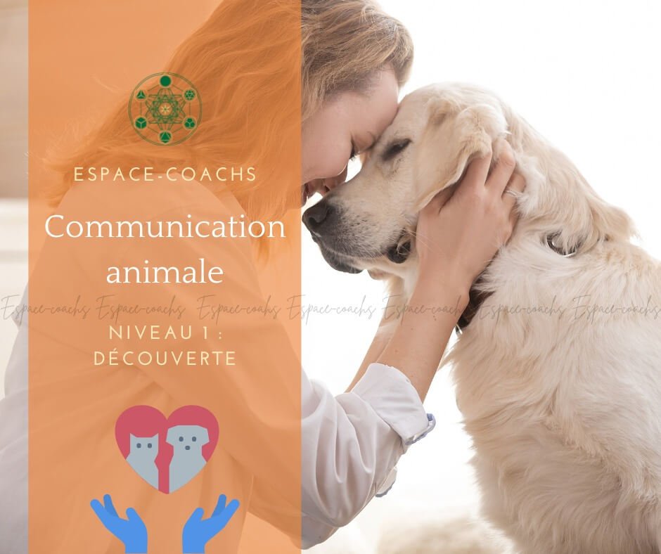 Communication animale niv 1 - Formation 16.2.23