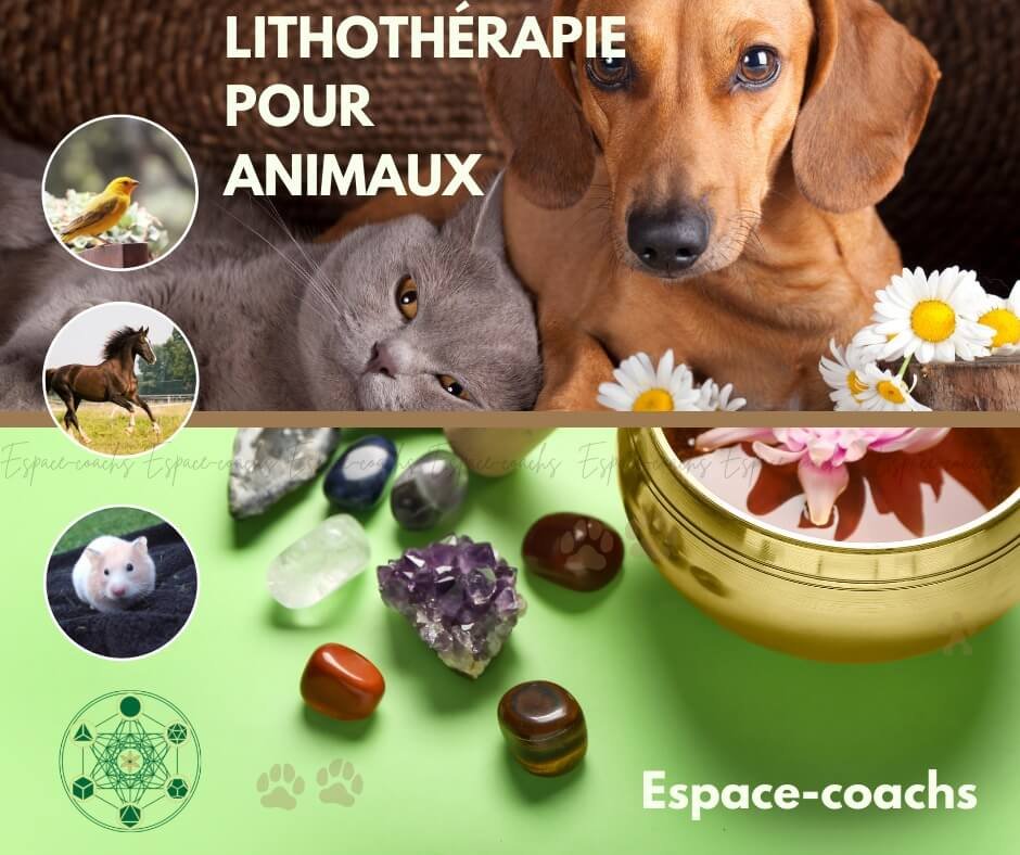 Lithothérapie pour animaux - Formation 6.4.23