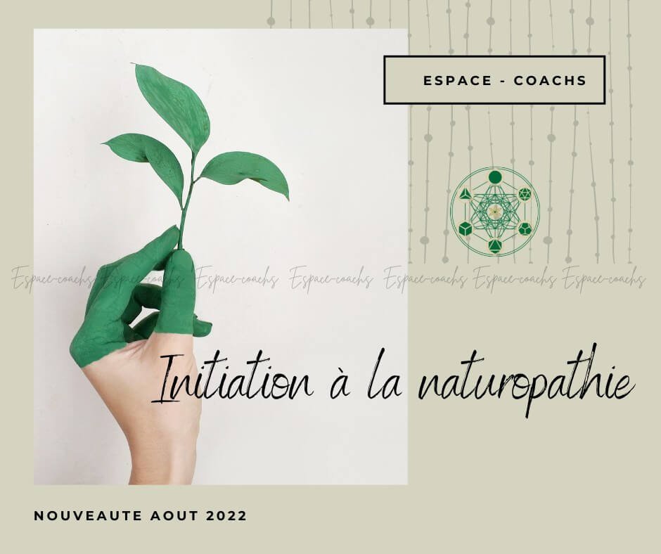 Naturopathie - Initiation 20.2.23