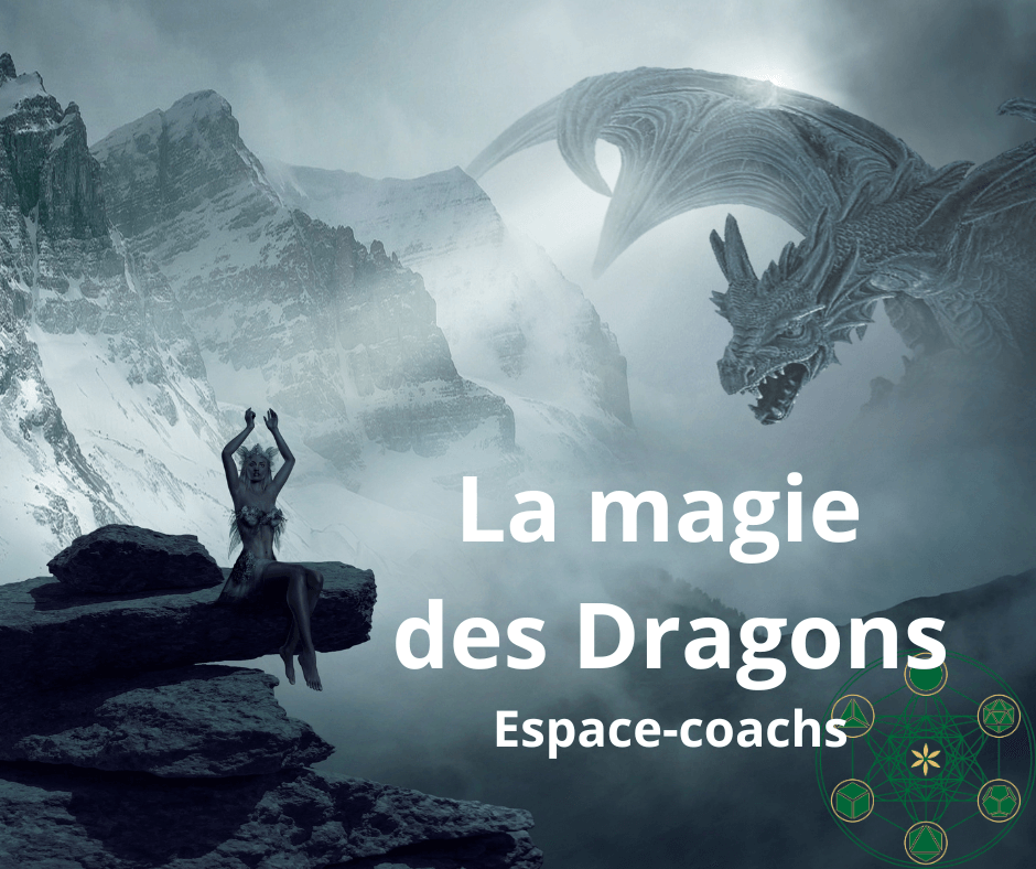 La Magie des Dragons - formation 28/1/24