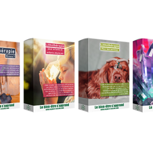 Pack de 4 formations en lithothérapie en ligne