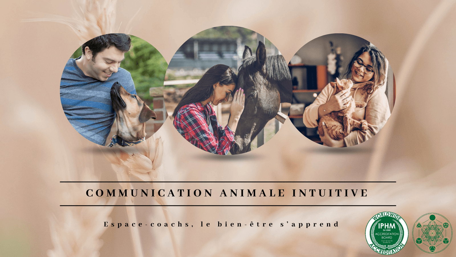 Communication Animale Intuitive - Formation le 24/02/24