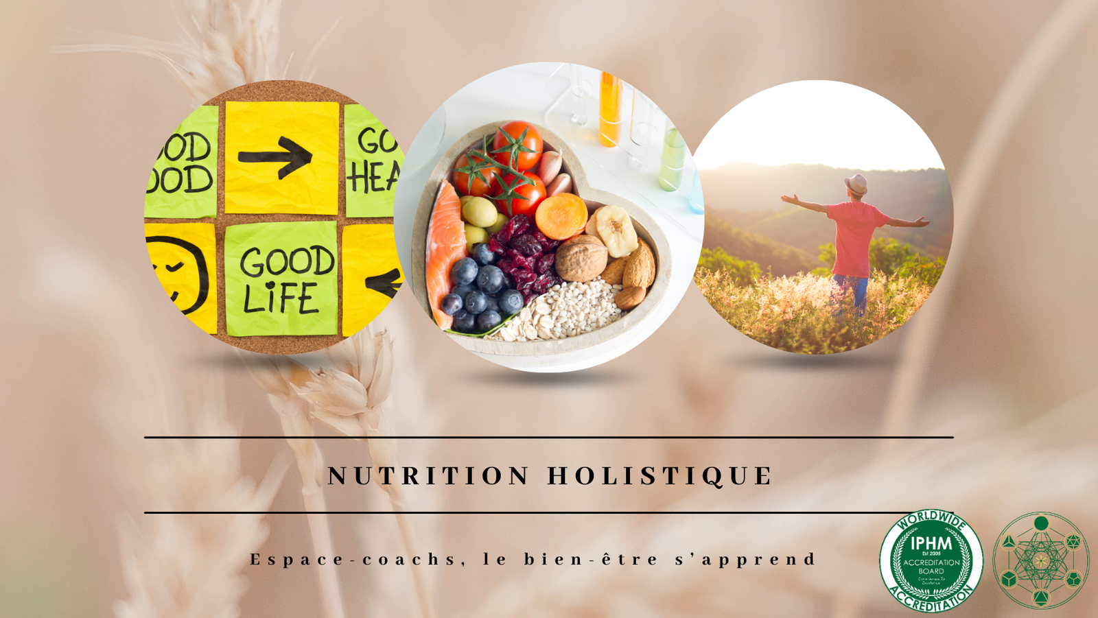 Nutrition holistique - Formation 17.6.24 à Verlaine