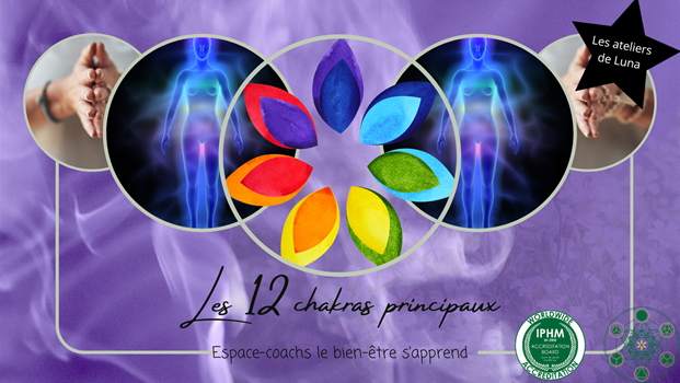 Les 12 chakras principaux : atelier certifiant 22/7/24 via visio/live