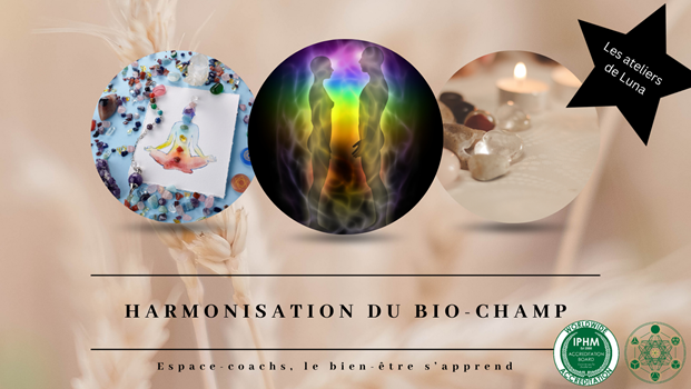 Harmonisation du biochamp à l'aide de Cristaux - 22.12.24 en visio/live