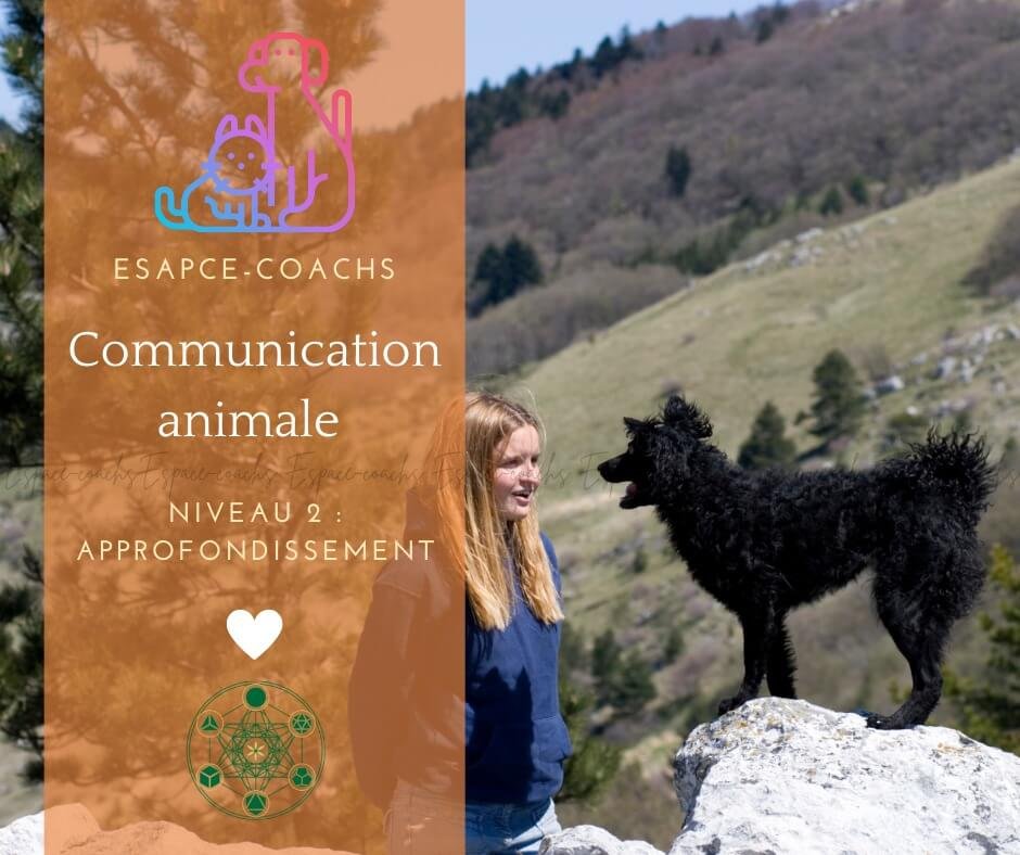 Communication animale niv 2 - Formation 26.4.23