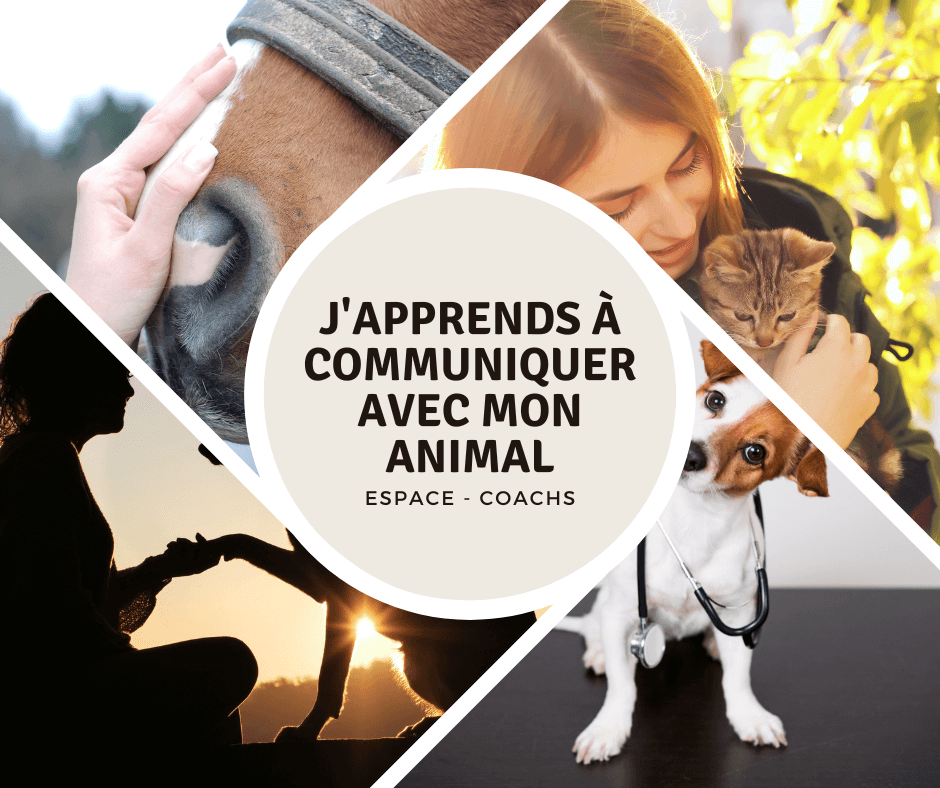 Communication animale - Formation 24.7.23