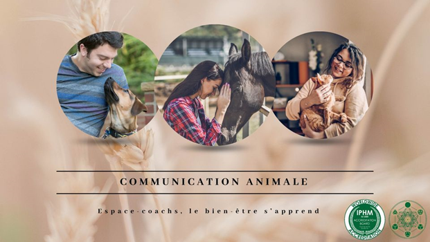 Communication Animale Intuitive – Formation le 21.10.2024 à Verlaine