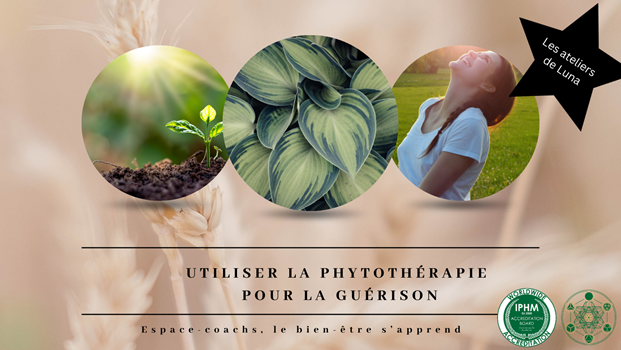 Utiliser la phytothérapie pour la guérison énergétique - le 7/11/24 en visio/live