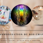 Harmonisation du biochamp à l'aide de Cristaux - 22.12.24 en visio/live